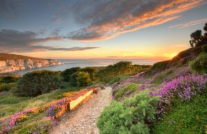 visitisleofwight.co.uk