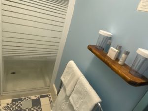 Shower Room 12